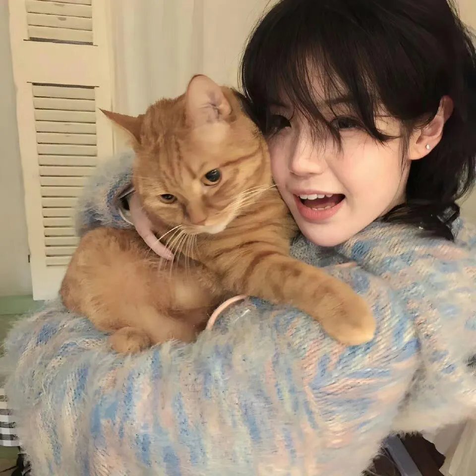 弗兰肯斯坦的诅咒